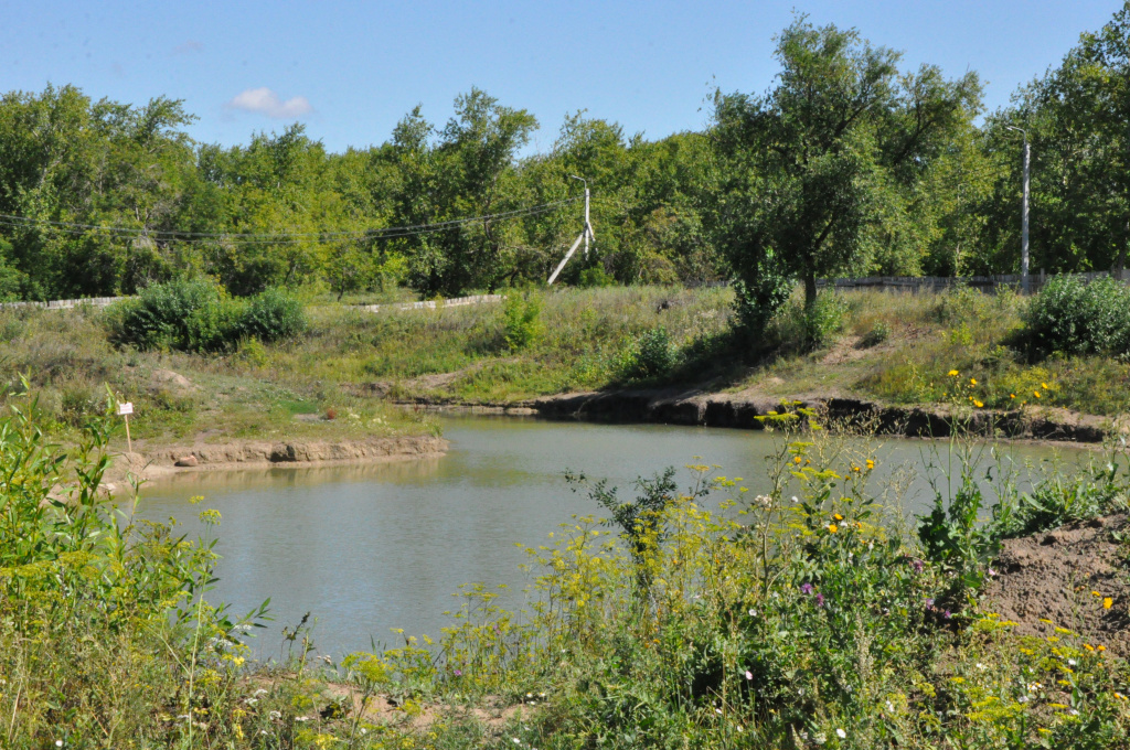 или пруд.jpg или пруд.jpg